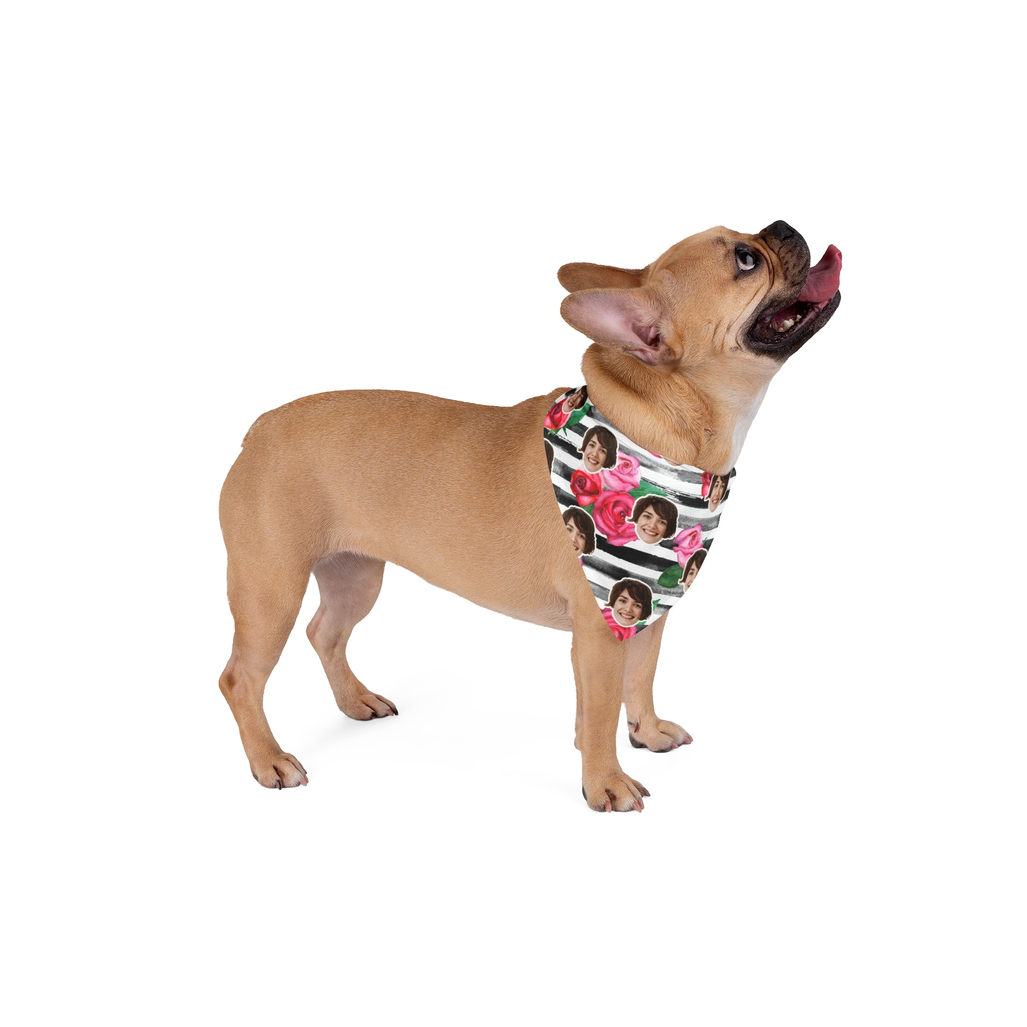 CUSTOM FACE Pet Bandana. Stripes & Roses Print. Match Your Best Friend!