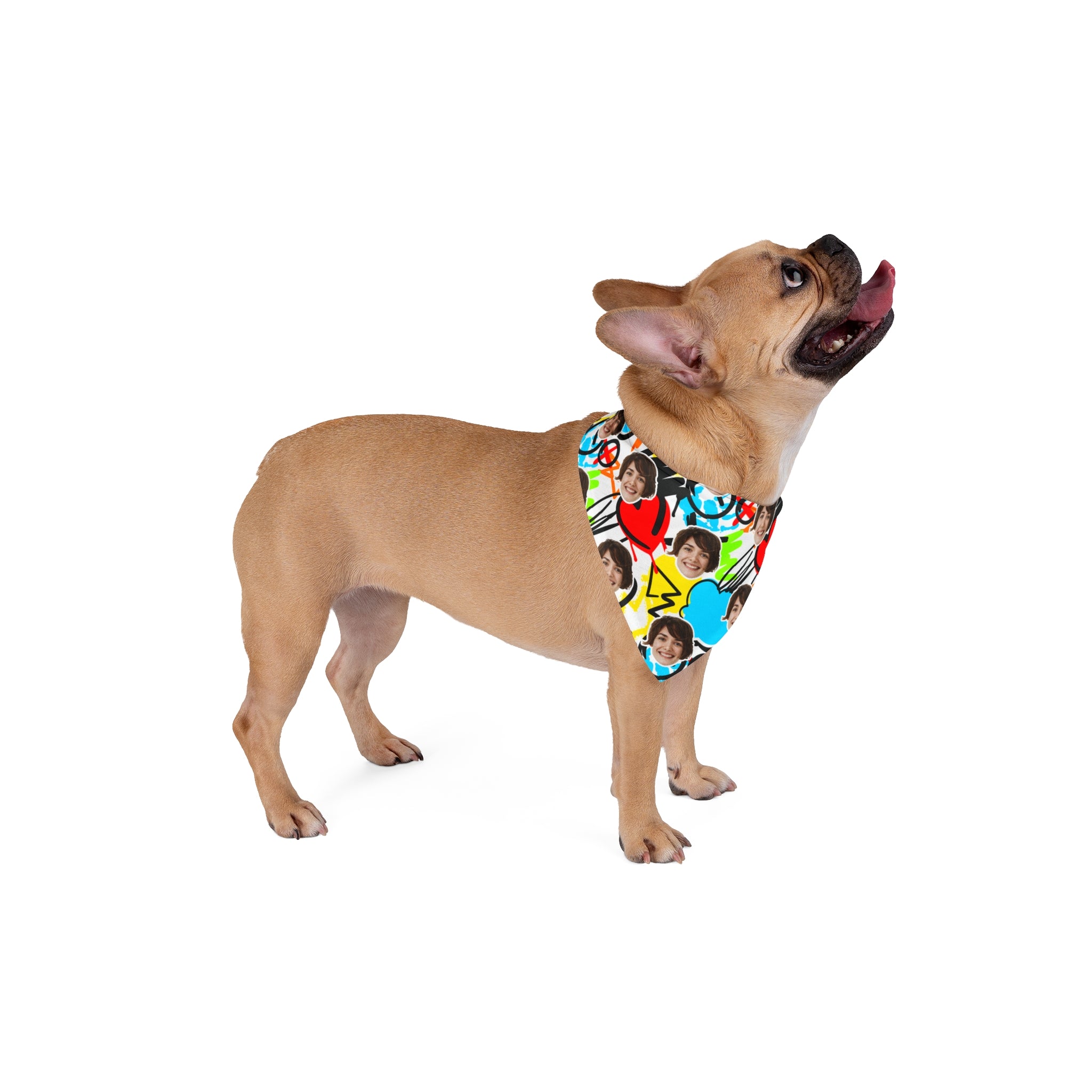 CUSTOM FACE Pet Bandana. Cartoon Graffiti Print. Match Your Best Friend!
