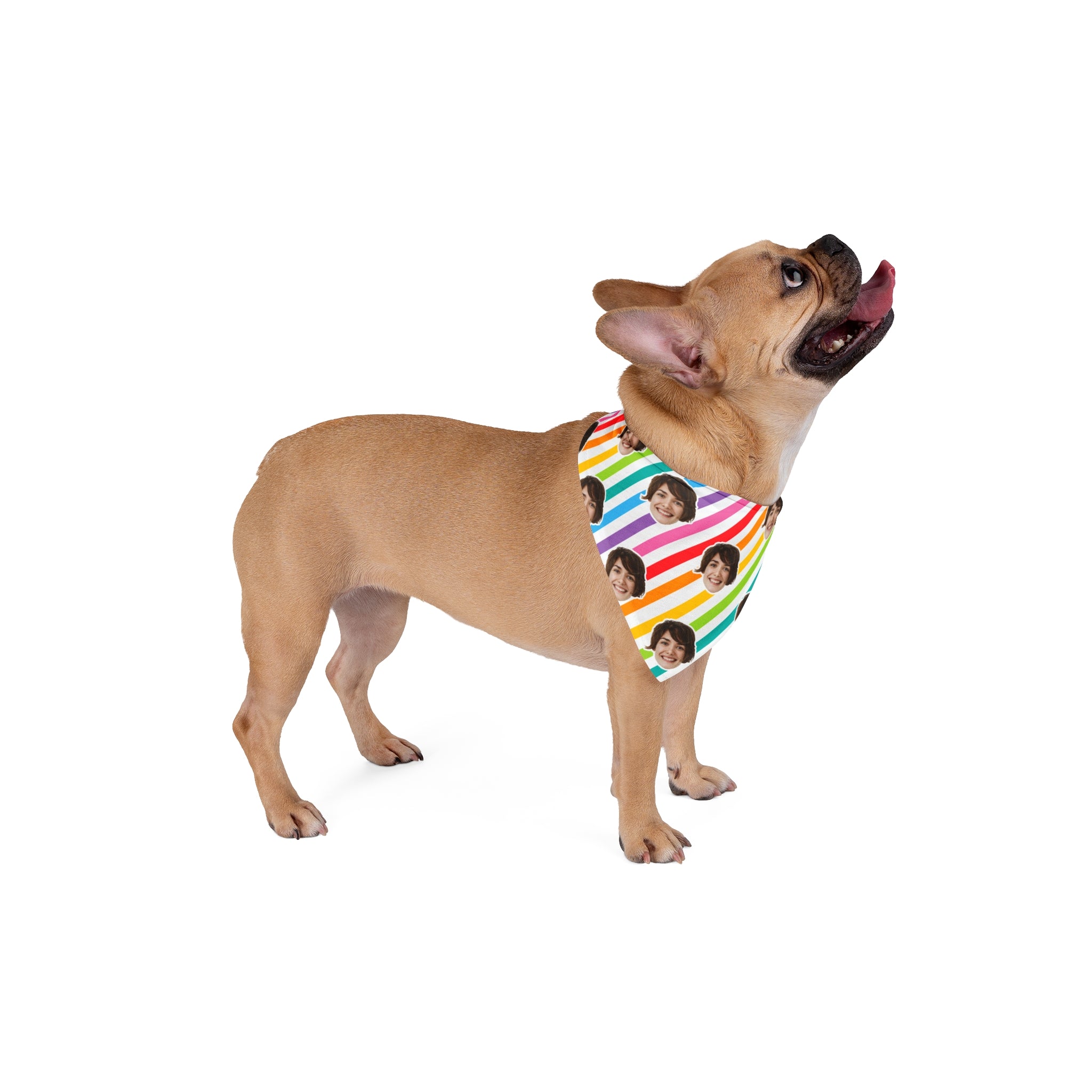 CUSTOM FACE Pet Bandana. Rainbow Stripes Print. Match Your Best Friend!